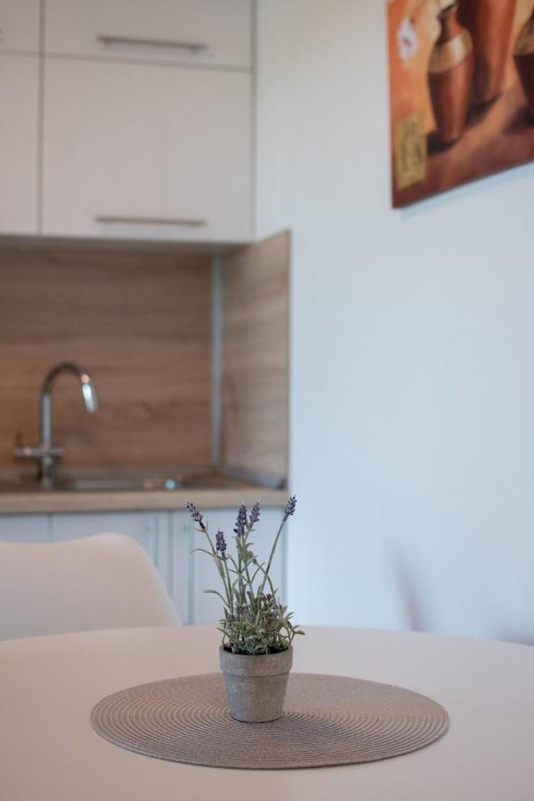 Lavanda House With Apartments บูเย ภายนอก รูปภาพ